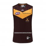 Camiseta Hawthorn Hawks AFL 2023