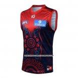 Camiseta Melbourne Demons AFL 2023 Indigena