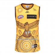 Camiseta Hawthorn Hawks AFL 2023 Indigena