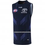 Camiseta Adelaide Crows AFL 2023 Entrenamiento