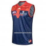 Camiseta Melbourne Demons AFL 2020-2021 Indigena